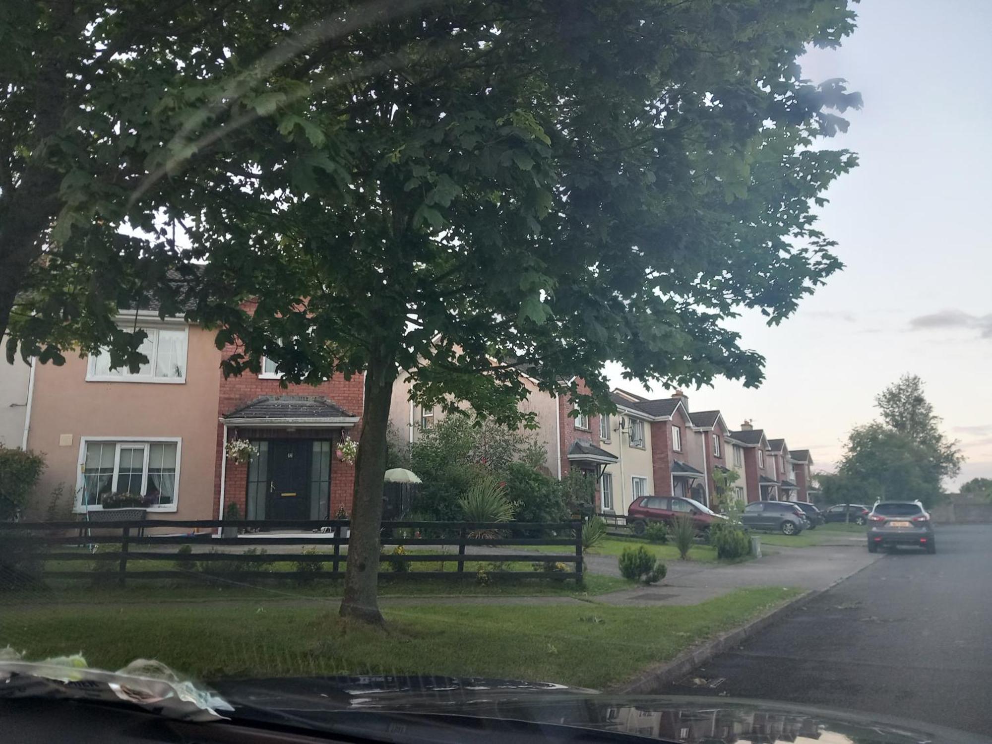 Sycamore Place Carrick-on-Suir Exterior photo
